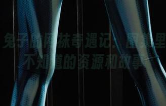 丽柜 – 兔子的网袜奇遇记：图集里藏着我不知道的资源和故事